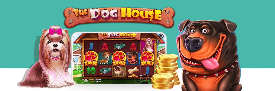 the-dog-house-logo-gameplay-ul